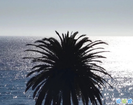 簡(jiǎn)短的帶唯美的說活帶圖片 簡(jiǎn)單一句話說說表達(dá)心中的情感13