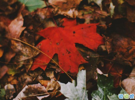 唯美好聽一顆心破碎的句子 一句走心唯美的話聽了心里暖暖的2