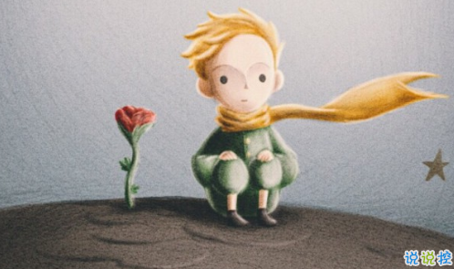 經(jīng)典小王子中的有哲理而又簡(jiǎn)單的句子 如果你被一朵花馴養(yǎng)13