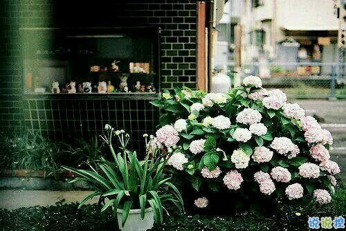 適合朋友圈發(fā)自拍的文案 女生發(fā)自拍的配文獨特有趣15