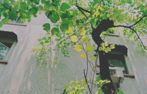 關(guān)于生活的有點(diǎn)傷感但很現(xiàn)實(shí)的圖片說(shuō)說(shuō) 哭也不會(huì)改變什么這個(gè)世界從來(lái)不會(huì)對(duì)任何人溫柔8