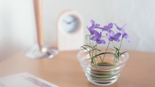 甜蜜浪漫情話只想說給你聽的說說帶圖片 想化作一陣風輕柔的撫過你14