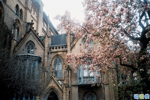 qq空間勵(lì)志說(shuō)說(shuō)帶圖片2019 00后都愛(ài)的勵(lì)志句子年輕人必備4