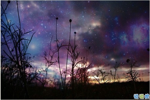 睡前一條朋友圈的經(jīng)典說(shuō)說(shuō)帶圖片 比愛(ài)更深刻經(jīng)典說(shuō)說(shuō)8