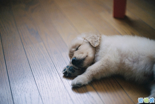 抖音最熱門流行的個性說說合集 愛拍照的女生手機(jī)都不會太差1