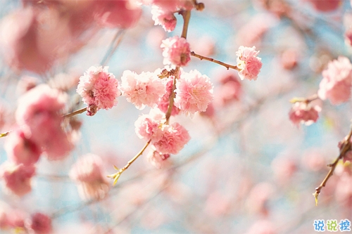 2019年抖音個(gè)性說說大全 非常有意思的個(gè)性說說帶圖片6