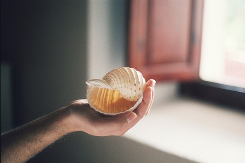 關(guān)于青春成長(zhǎng)的美到極致的唯美句子帶圖片12