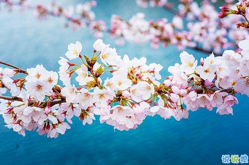 2019非主流經(jīng)典愛(ài)情說(shuō)說(shuō)帶圖片 很打動(dòng)人的一些愛(ài)情真理3