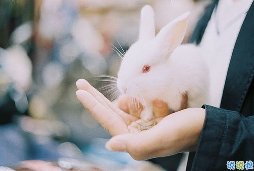 關(guān)于愛情簡單又有道理的句子配圖 愛情是一個人的天荒地老11