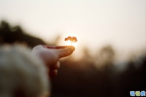 讓對(duì)方讀到就覺(jué)得心疼的傷感句子 一個(gè)人硬撐下去的傷感句子1