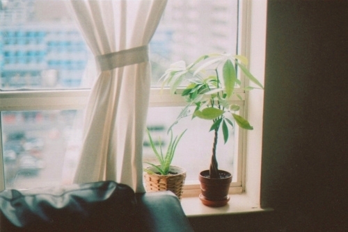 甜蜜浪漫情話只想說給你聽的說說帶圖片 想化作一陣風輕柔的撫過你3