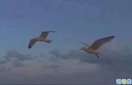 唯美說說配圖傷感篇2018：年紀(jì)大了只想跟相處不累的人在一起6