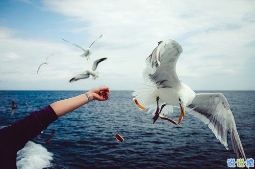  最暖心的一句話說說一秒被融化 那些溫暖人的經(jīng)典說說帶圖片7