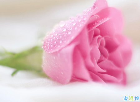 生活很現(xiàn)實(shí)的經(jīng)典說說帶圖片 關(guān)于生活的勵(lì)志說說配圖14