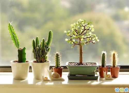 2019四月朋友圈小清新句子帶圖片 四月你好淡淡的陽(yáng)光淡淡的風(fēng)2