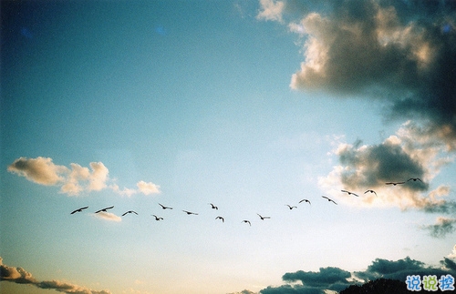 2019微信樂(lè)觀勵(lì)志的句子帶圖片 經(jīng)典勵(lì)志說(shuō)說(shuō)心情短語(yǔ)3