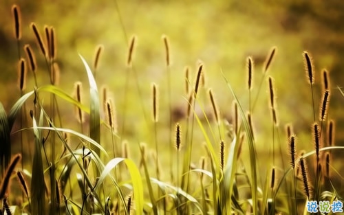 心情郁悶的傷感說說帶圖片 夜里睡不著覺的傷感心情說說配圖1