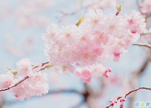 個(gè)人最欣賞的古詩(shī)詞合集 唯美古詩(shī)詞說(shuō)說(shuō)心情短語(yǔ)1