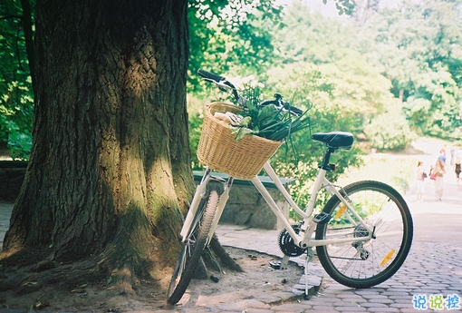 2018再見2019你好勵(lì)志說(shuō)說(shuō)致自己帶圖片 送給自己的2019說(shuō)說(shuō)超勵(lì)志3