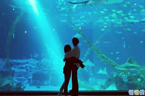 很甜的愛情說說配圖：小學(xué)時，想和喜歡的人同桌；初中時，想和喜歡的人同班6