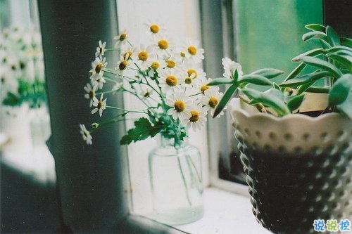 關(guān)于青春成長(zhǎng)的哲理雖然簡(jiǎn)單一句話但是很有道理的說說帶圖片9