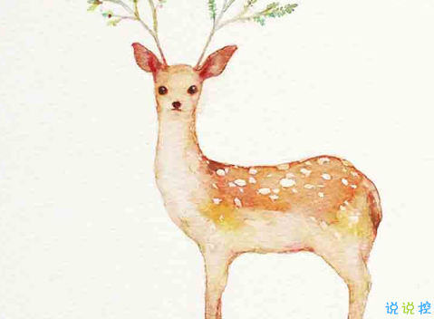 文字控偏愛的簡單文藝圖片句子 往后余生風雪是你平淡是你5