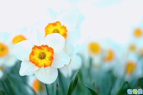 2019告別二月迎接三月勵志說說配圖 三月你好朋友圈早安心語2