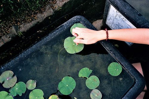 關(guān)于生活的有點(diǎn)傷感但很現(xiàn)實(shí)的圖片說(shuō)說(shuō) 哭也不會(huì)改變什么這個(gè)世界從來(lái)不會(huì)對(duì)任何人溫柔9