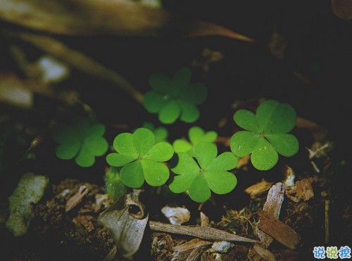 曾幫你度過(guò)艱難日子的一句話說(shuō)說(shuō) 超級(jí)勵(lì)志給人力量的個(gè)性說(shuō)說(shuō)1