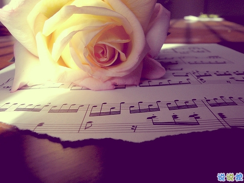 突然很想哭的心情說說大全 快手寫進(jìn)心坎的傷感句子1