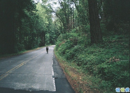 那些抖音中唯美的小清新圖片句子 浮世萬千吾愛有三4