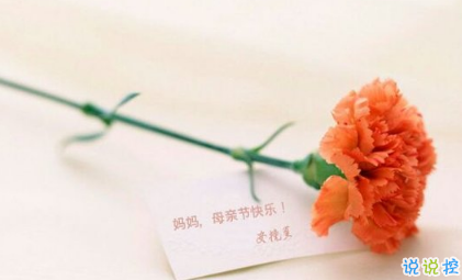 關(guān)于2018母親節(jié)說(shuō)說(shuō)朋友圈配圖 記得對(duì)媽媽說(shuō)一句我愛(ài)你9