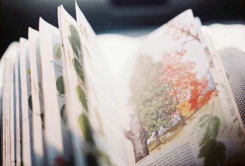 關(guān)于愛情的有意思的文藝句子 愛她是我做過的最好的事10