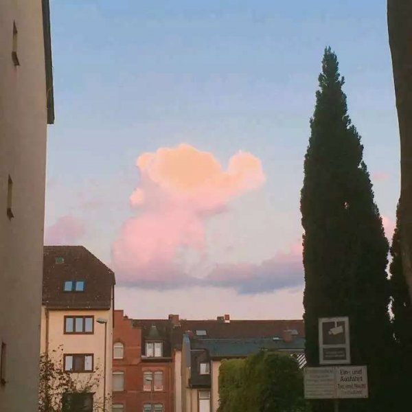 關(guān)于人生和夢(mèng)想的很現(xiàn)實(shí)的經(jīng)典哲理說說帶圖片5