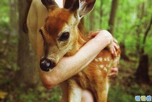 突然不喜歡一個(gè)人/放棄一個(gè)人是一種什么樣的感受？10