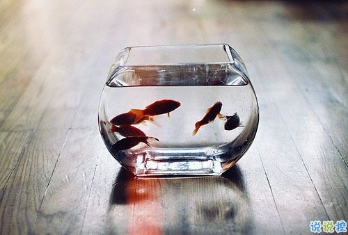 一句話簡(jiǎn)單心情說(shuō)說(shuō)2019 很日常的朋友圈說(shuō)說(shuō)大全1