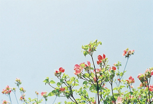 喜歡一個人的甜蜜小情話說說帶圖片 不愿再研墨執(zhí)筆因?yàn)樽掷镄虚g全是你10