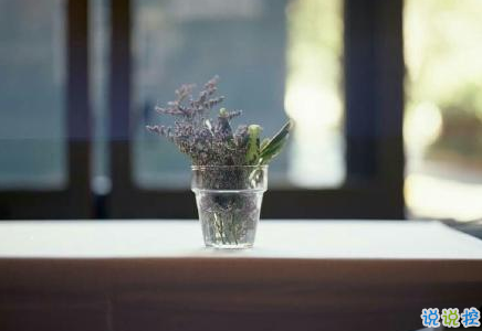 經(jīng)典有道理的說(shuō)說(shuō)帶圖片：我讀過(guò)很多書(shū)，但后來(lái)大部分都被我忘記了6