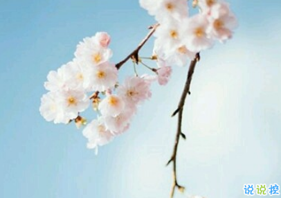 最好朋友領(lǐng)證結(jié)婚的祝福說說  2019好閨蜜結(jié)婚的說說優(yōu)美好聽2