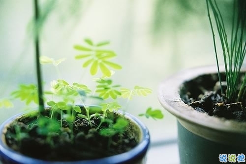 值得收藏的人生大道理勵志說說帶圖片 好聽的激勵人心的說說配圖6