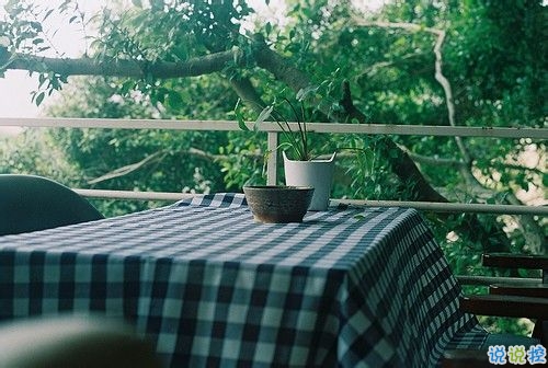 偶然看見的一句話可以打動(dòng)你心 很經(jīng)典的愛情說說大全20182