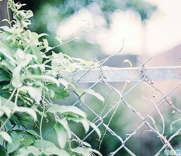 關(guān)于一個(gè)人旅行的精辟哲理說(shuō)說(shuō)帶圖片 每一次旅行其實(shí)都是一場(chǎng)修行4