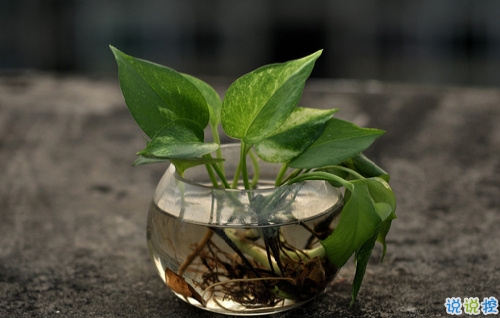 女生唯美傷感說說帶圖片 一句話描述心情不好的說說10