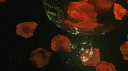 忽而夏至的悲傷日記的傷感說(shuō)說(shuō)配圖 你最美的青春都在陪他吃苦14