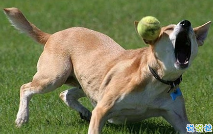 笑死人的說說帶圖片帶文字 逛街時的你和你的朋友14