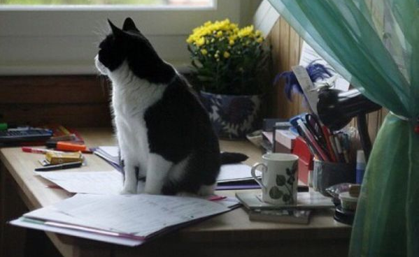 關(guān)于愛情的甜蜜小句子帶圖片 我忘記誰都不能忘記那個(gè)夏天的你8