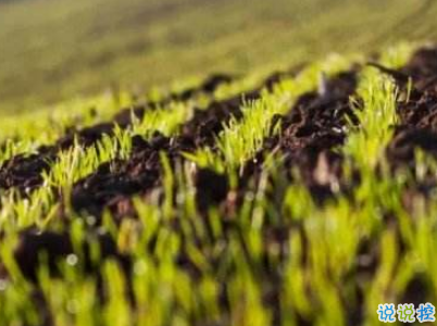 2019谷雨朋友圈說(shuō)說(shuō)配圖 谷雨節(jié)發(fā)朋友圈的說(shuō)說(shuō)優(yōu)美10