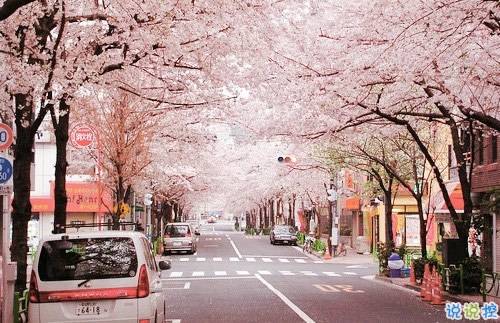 qq霸氣女生超酷說說大全 雙重人格超酷的個(gè)性說說11