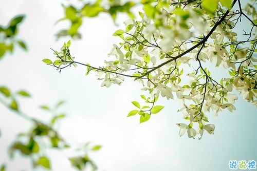 給人正能量的早安句子2019精選 早安說(shuō)說(shuō)簡(jiǎn)短經(jīng)典一句話1