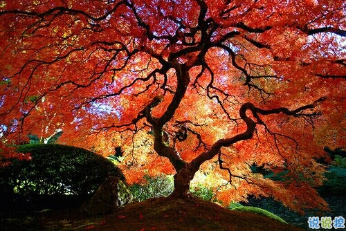 抖音最吸引人的經(jīng)典說說 發(fā)朋友圈別人點(diǎn)贊必評(píng)的個(gè)性說說2